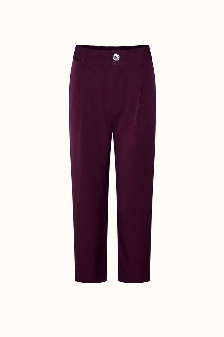 TRAILBLAZER TROUSER PRUNE